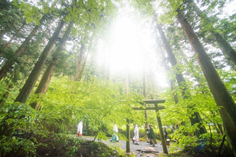 エクラ 茨城 結婚式