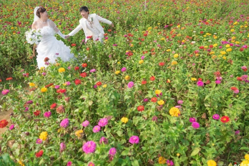 エクラ 茨城 結婚式
