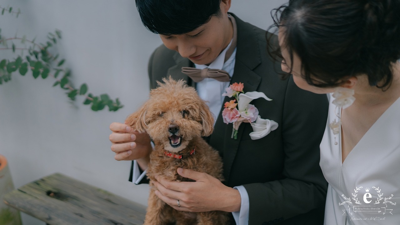 il. イルドット イルドット結婚式 イルドットウェディング 茨城レストランウェディング 水戸レストランウェディング 茨城結婚式 水戸結婚式 水戸ウェディングパーティー カジュアルな結婚式 自由な結婚式 衣装持ち込み 写真 カメラマン おしゃれ おもてなし 水戸エクラ エクラ