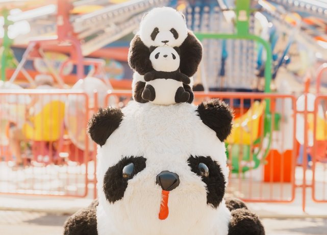 茨城前撮り 水戸前撮り 茨城ロケ 結婚 フォトウェディング 遊園地 ひたち海浜公園 パンダ