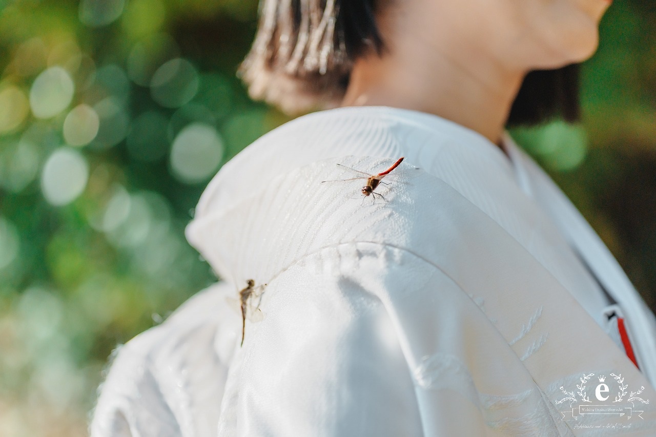 鹿島神宮 挙式 神前式 和婚 神社挙式 カシマ 茨城神前式 茨城神社挙式 茨城結婚式 鹿嶋市 鹿嶋和装 レンタル プロデュース 衣装 メイク 着付け 鹿嶋結婚式 鹿島神宮楼門 白無垢 色打掛 自由 結婚式 水戸エクラ