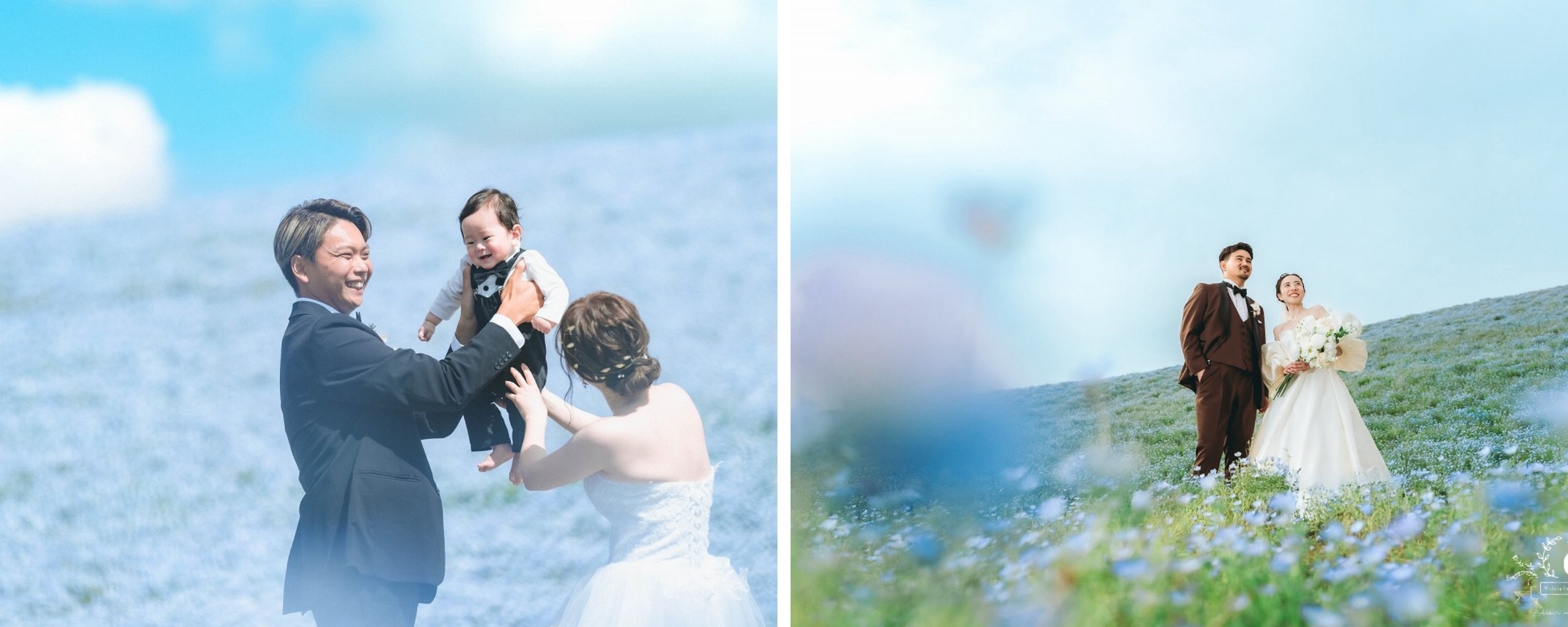 ネモフィラ ネモフィラフォト ネモフィラ前撮り ネモフィラフォトウェディング ひたち海浜公園 ネモフィラ ウェディングフォト フォトウェディング 前撮り 茨城前撮り 茨城フォトウェディング みはらしの丘 エクラ スタジオ 写真 おしゃれ 自由 遊園地