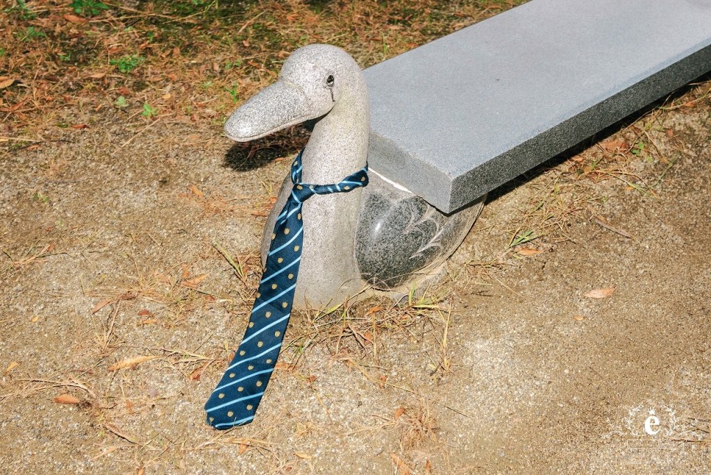 鯨ヶ丘商店街 板谷坂 まいづる第一公園 実家 スタジオ 丸ライト カラーライティング 水戸街中 水戸夜 水戸前撮り 水戸フォトウェディング ナイトフォトウェディング 公園 茨城前撮り 茨城フォトウェディング コンフェッティー デニム 革ジャン 私服 自由 持ち込み おしゃれ 撮影 ロケ撮影 スタジオ撮影 夜