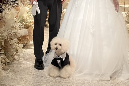 水戸 テラス ホテル 結婚式 犬 ドッグ 人前式 ウェディング 少人数 エクラ プロデュース 自由 らしさ